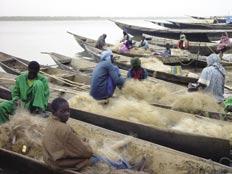 102 Fisheries in the Inner Niger Delta Revised estimates 103 Fig. 5.6.