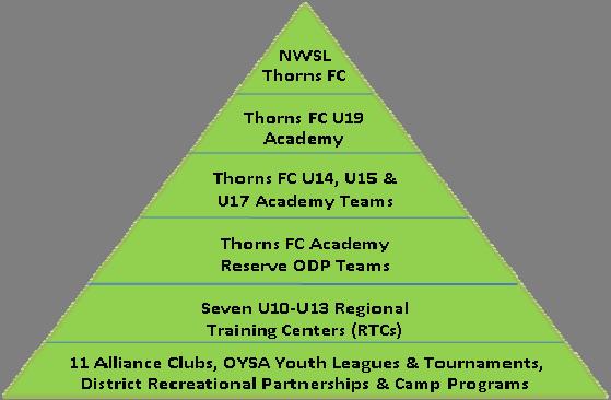 Why should I participate in Thorns ODP? The Thorns ODP program gives players the chance to start working their way up the pyramid, as shown below.