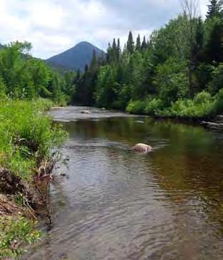 INLAND FISHERIES DIVISION z Additionally, over 75 road stream crossings were evaluated to determine ability for upstream fish passage and geomorphic compatibility. Only 10.