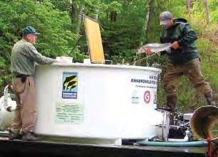 INLAND FISHERIES DIVISION z Fish Culture Program the Department s four major fish-production facilities are located in Berlin, Milford, New Hampton, and New Durham, and its two smaller facilities are