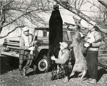 z WILDLIFE DIVISION WORKING FOR WILDLIFE, WORKING FOR YOU The Wildlife Division oversees management of the state s game, nongame and habitat programs. nhfg ARCHIVE photo Bear and deer harvest ca.1962.