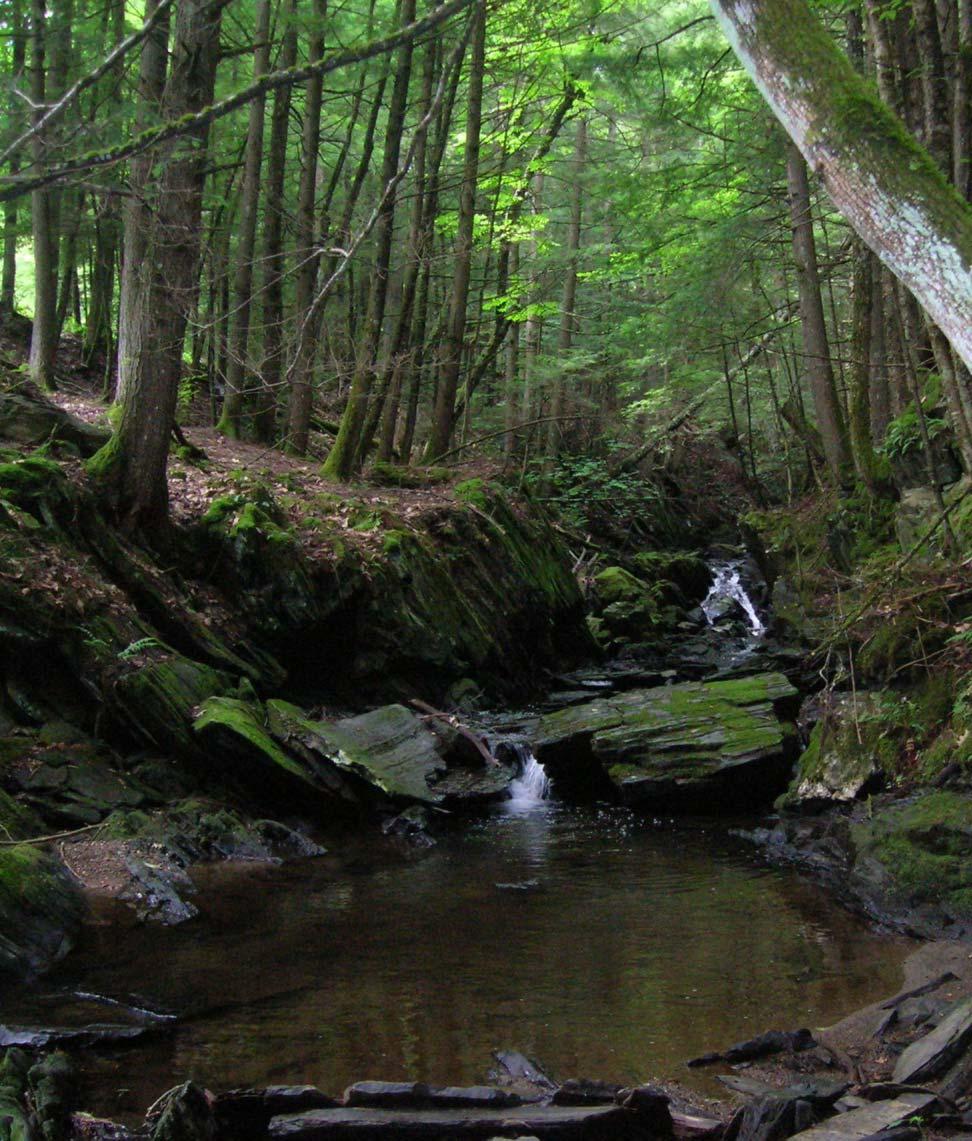 Bath, New Hampshire: Brook Trout Report & Recommendations for Conservation Undergraduate Thesis Emma Lundberg, Southern New