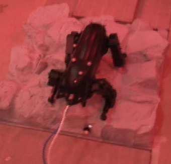 another and the front feet are both at a third height, while in Figure 3-25, the robot begins on more general
