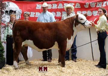 Cornhusker Classic Futurity 2015 Champion Futurity Heifer Sold by: Tracy Cattle Purchased by: Malina