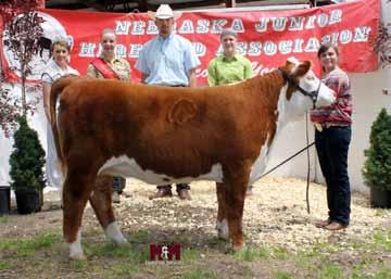 Island 2015 Reserve Champion Futurity Heifer Sold by: Whitney Steckel Purchased by: Kendi Miigerl This