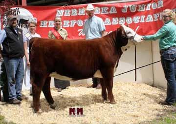2015 Reserve Champion Futurity Steer Sold by: Niedermeyer Farms Purchased by: Kendi Miigerl This steer