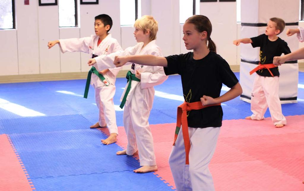 VVAC TAEKWONDO ACADEMY For more than two decades, Variety Village has provided martial arts classes for students of all ages and abilities.