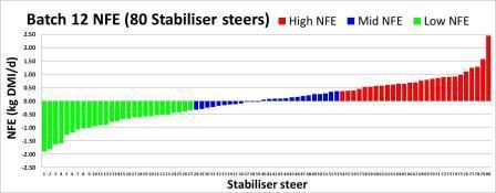 Twelfth Trial NFE and production results from the twelfth batch of steers are shown in Table 1 and Figure 1 below.