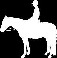 Horse s profile including your current saddle placed in proper position but without a pad.