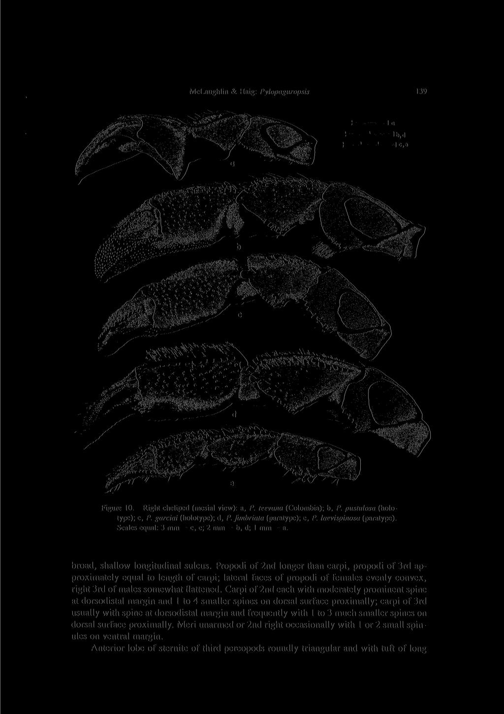 McLaughlin & Haig: Pylopaguropsis 139 Figure 10. Right cheliped (mesial view): a, P. teevana (Colombia); b, P. pustulosa (holotype); c, P. garciai (holotype); d, P. fimbriata (paratype); e, P.