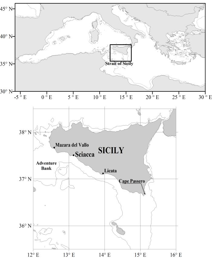 INTRODUCTION Along the southern Sicilian coast (Central Mediterranean Sea), Sciacca harbor is the most important landing site for small pelagic fish species.
