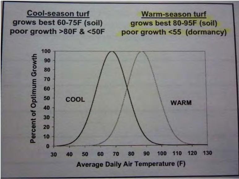 Graph for warm season grass temp vs cool Mean Air Temperature ( o C) 2010 2009 2008 Jan 15.7 14.2 14.5 Feb 17.1 19.1 12.3 Mar 18.8 18.4 19.5 Apr 19.8 22.0 22.1 May 24.5 24.