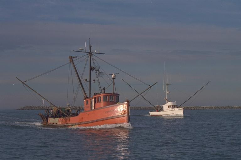 Commercial Fishing ~ 120 Registered Vessels 1 processing plant 3 Fish Buyers