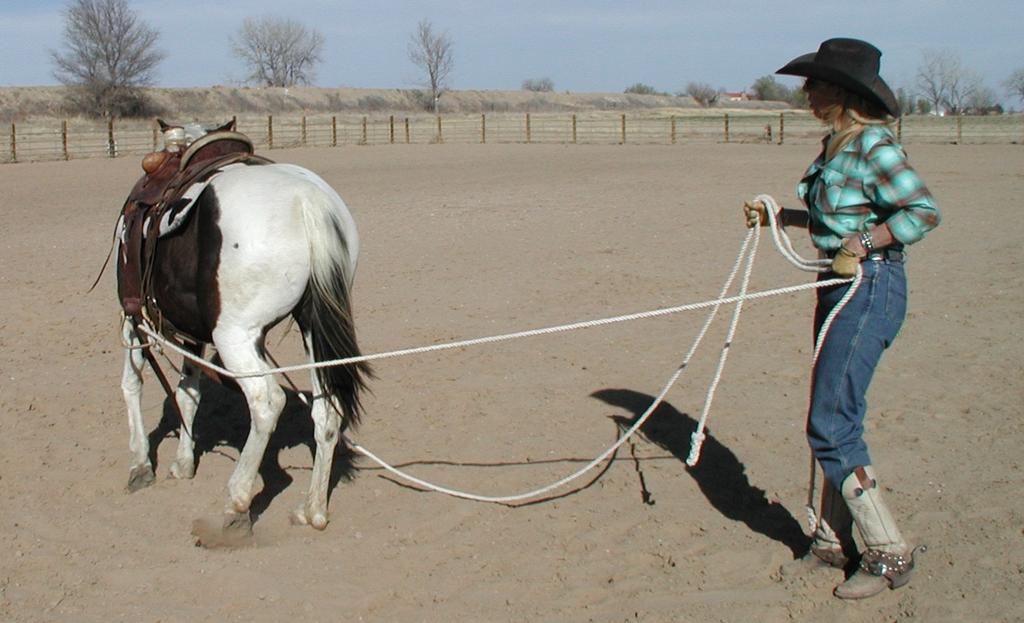 If your horse starts to walk out, repeat and Whoa him again. If he starts to step forward again just repeat till he understands the connection between the pulling on the bit and your voice command.