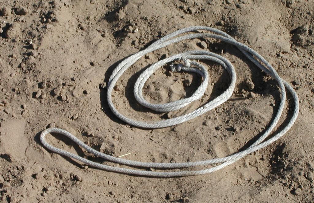 All that is needed is ¼ in. nylon cord found at any hardware store and a set of cotton driving lines or two of the same lunge lines.