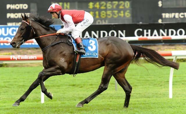 commands attention (AUS) Bay, 2008, (Commands Dextrous) Race Record Starts 1st 2nd 3rd 15 3 3 3 Earnings: $462,800 1st G2 ATC Theo Marks Stakes, Rosehill (1400m) LR ATC Ming Dynasty Qlty H.