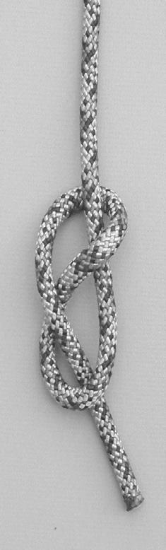 Family of Eight Knots The family of eight knots meets most of the criteria for a good rescue knot. These knots are popular in the rescue community because they are: 1.