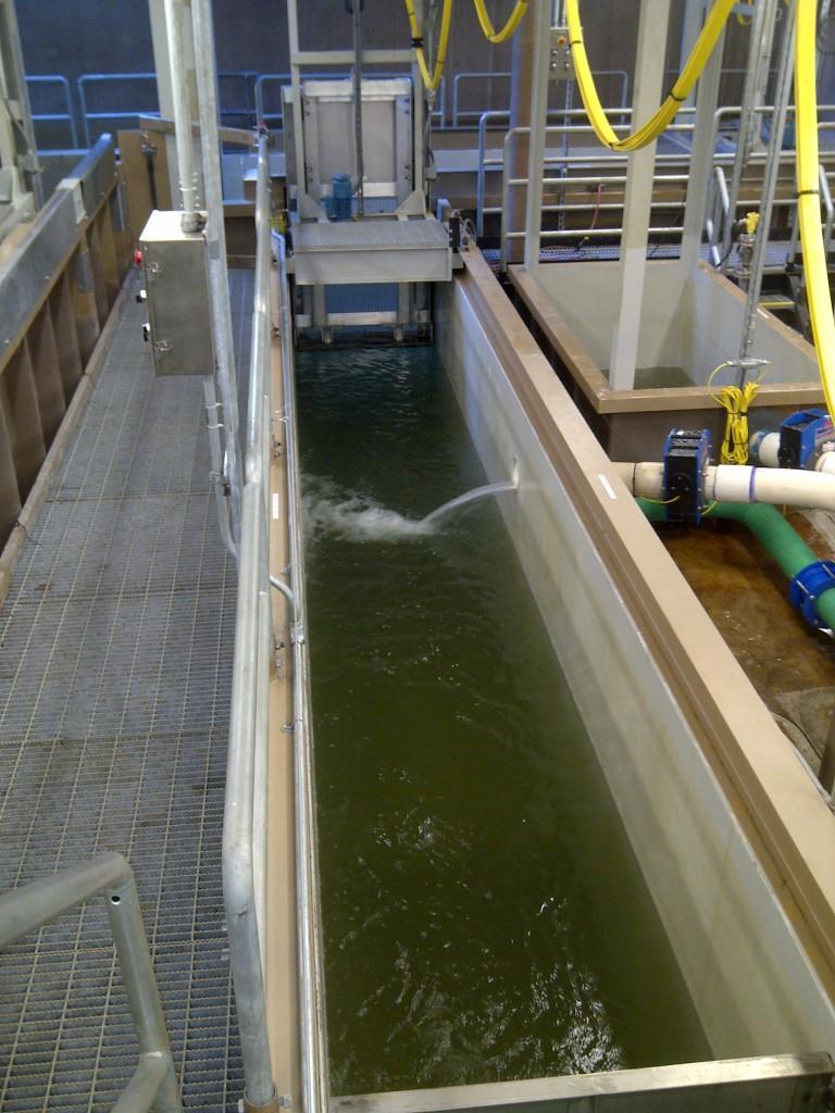 SWIFT FLOATING SURFACE COLLECTOR Smolt Sample Tank Smolt