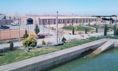 center in Kerman area