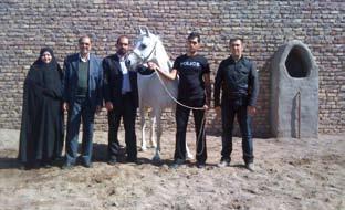 Iranian Arabian wouldn t be interrupted while introducing the international show breeding into Iran.