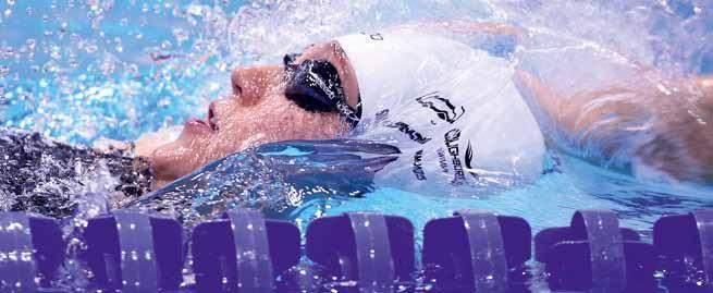 transfer the performance swimming component of the England programme to British Swimming WCP.