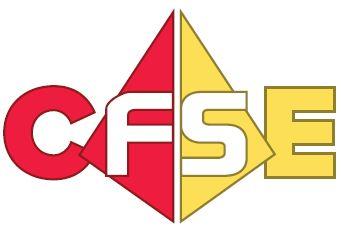 Market Studies Professional Certification CFSE CFSP Includes: