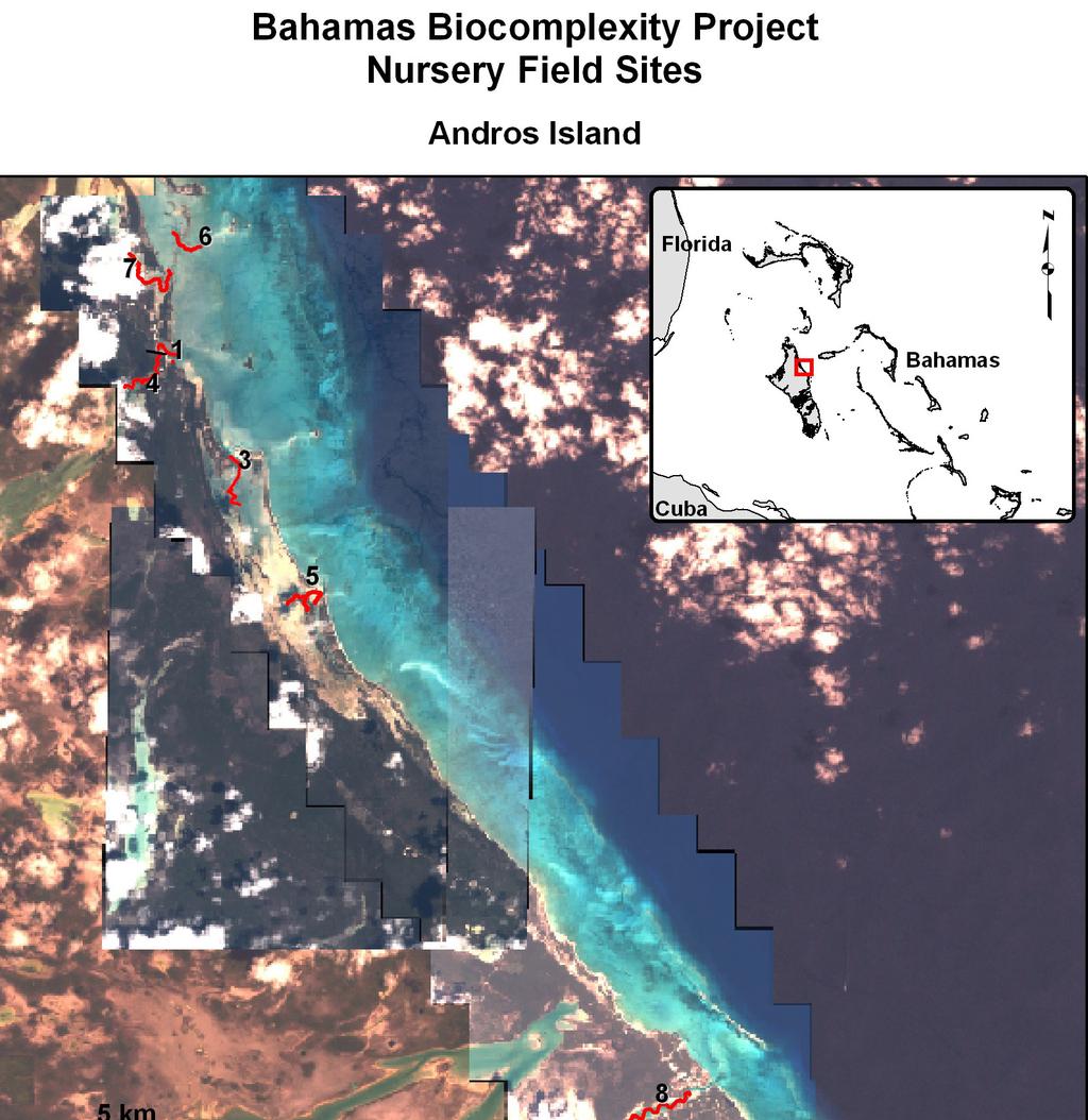 Natural Sciences Figure 2: Andros Island Transect Locations.