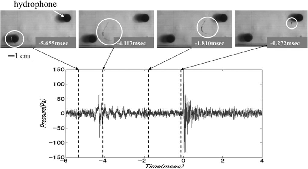 FIG. 2. Four images of a growing vortex cavitation bubble in the secondary vortex producing an acoustic pop. The acoustic emission recorded by a hydrophone is also shown.