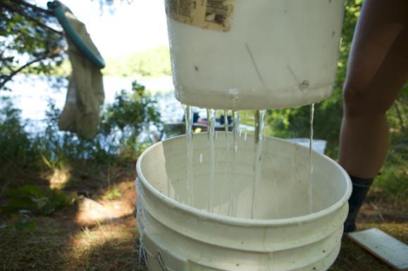 7 Anguilla rostrata (American Eel) habitat preference study in a protected watershed in Nova Scotia Figure 8. Smaller bucket with holes to allow clove oil and water to drain out.