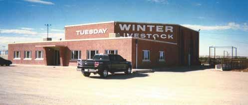 Winter Livestock in La Junta, Colorado. was due to the excellence of their personnel, and Brian agrees: We have great people.