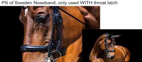 PS of Sweden noseband, only used