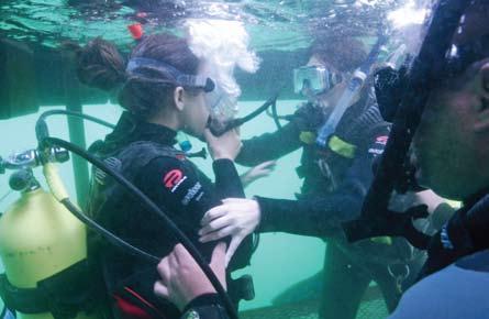 Assistant Instructor (Prep) Program The course will introduce you to diving instruction basics and the fundamental water skills needed to be capable assistants.