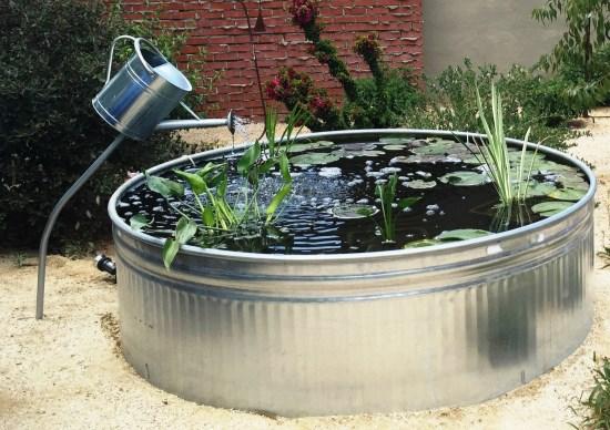 A unique water feature in a water-wise garden was made from a 6' round galvanized steel livestock tank; it held aquatic plants and a few we-think-goldfish, with the water recirculated through a