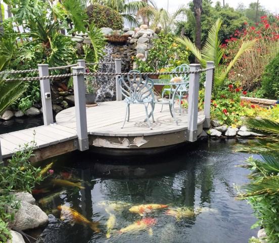 Imagine, too, squash growing upright in tomato cages! The largest property featured two koi ponds.