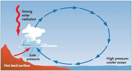 Monsoon Circulation SUMMER WINTER Monsoon is a seasonal shift in the prevailing wind direction, that usually brings with it a different kind of weather