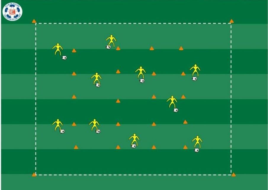 Jungle Dribbling Setup a square Layout several cones all around the square (minimum 5 yards apart) Every player has a ball Players dribble around the square, executing different dribbles Coach