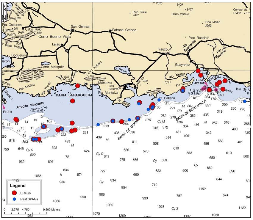 APPENDIX 1E- Zone 3 Zone 3 (Southwestern coast from Cabo Rojo Lighthouse to Punta Cucharas) La Parguera Bay Area Epinephelus adscensionis Cephalopholis cruentata Lutjanus apodus