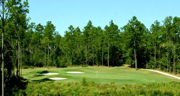 Best New Courses** Foxland Harbor Gallatin, Tennessee **2009