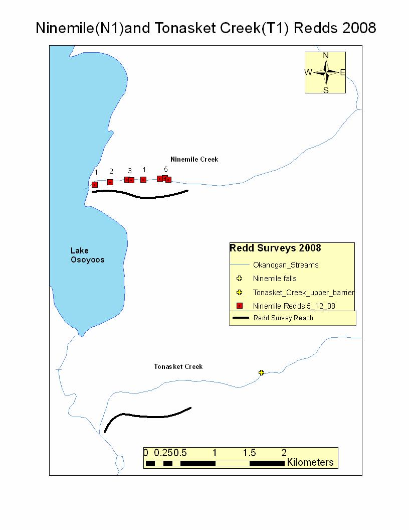 Figure 10. Redd distribution observed in 2008 for Ninemile and Tonasket creeks in the lower portions accessible to anadromous fish.
