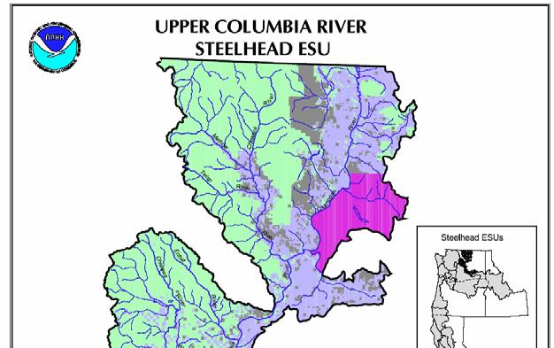 encompass all known spawning habitat currently available in the United States portion of the Okanogan River Basin where summer steelhead are listed as endangered within the Upper Columbia ESU (Figure
