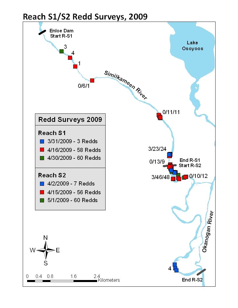Okanogan Basin Steelhead Redd Surveys 2009 Figure 9. Redd distribution observed in 2009 for Similkameen River reach S1 and Similkameen River Reach S2.