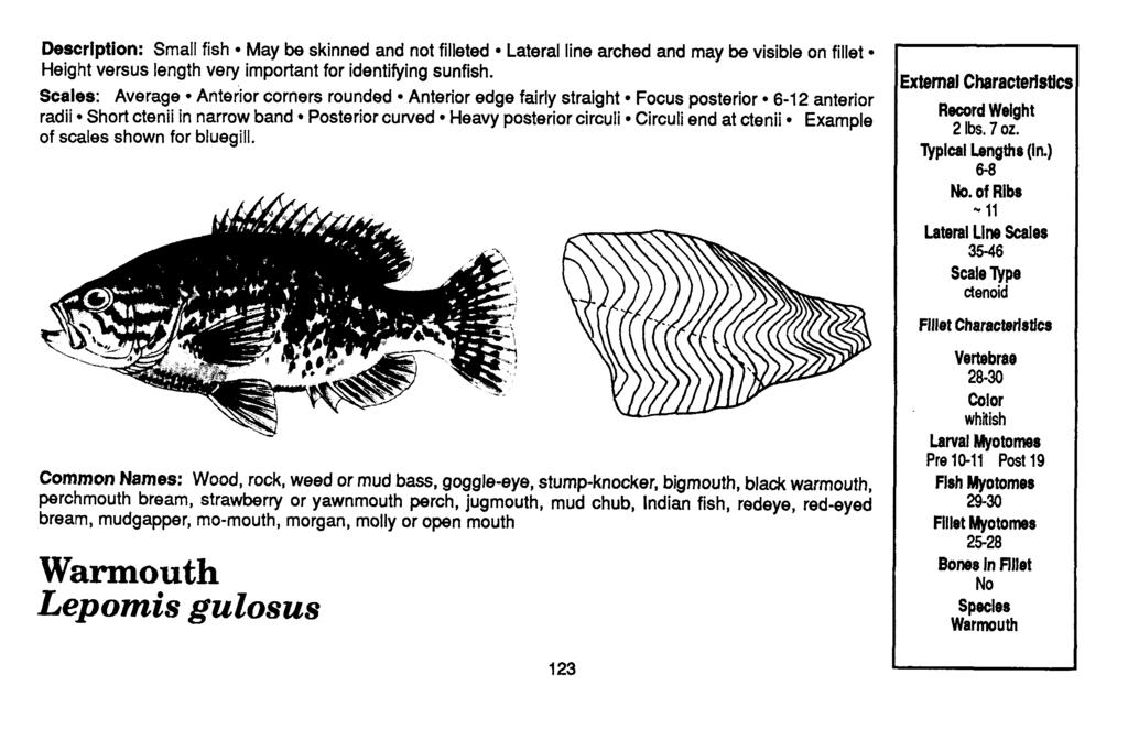 Description: Small fish May be skinned and not filleted Lateral line arched and may be visible on fillet Height versus length very important for identifying sunfish.