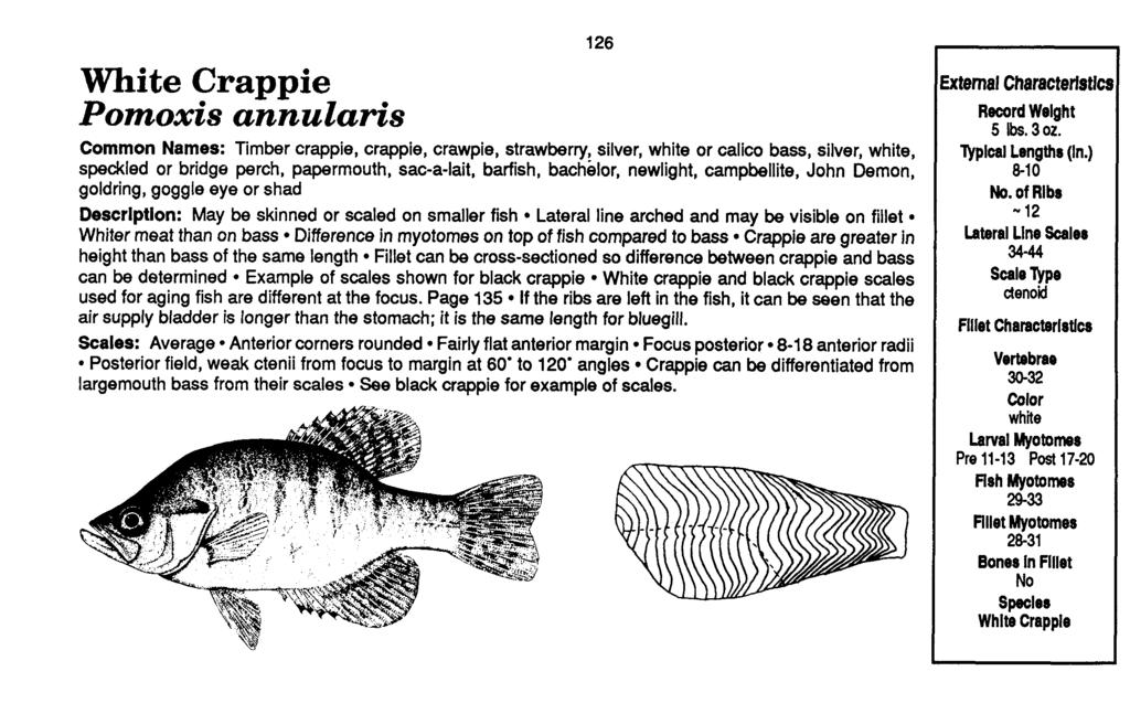 White Crappie Pomoxis annularis Common Names: Timber crappie, crappie, crawpie, strawberry, silver, white or calico bass, silver, white, speckled or bridge perch, papermouth, sac-a-lait, barfish,