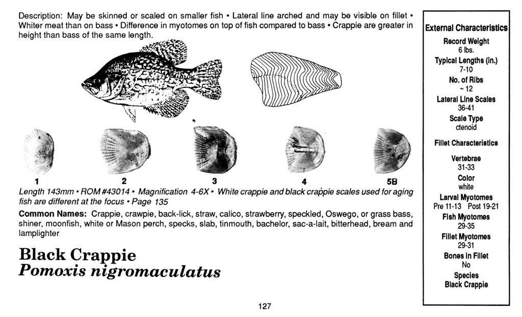 Description: May be skinned or scaled on smaller fish Lateral line arched and may be visible on fillet Whiter meat than on bass Difference in myotomes on top of fish compared to bass Crappie are