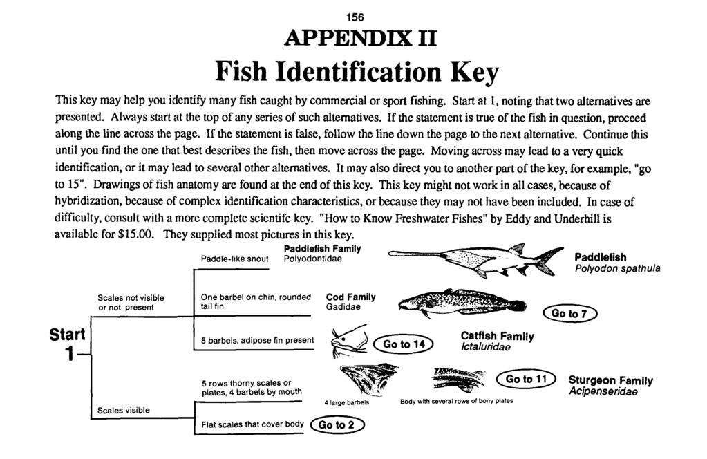 156 APPENDIX I1 Fish Identification Key This key may help you identify inany fish caught by commercial or sport fishing. Start at 1, noting that two alternatives are presented.