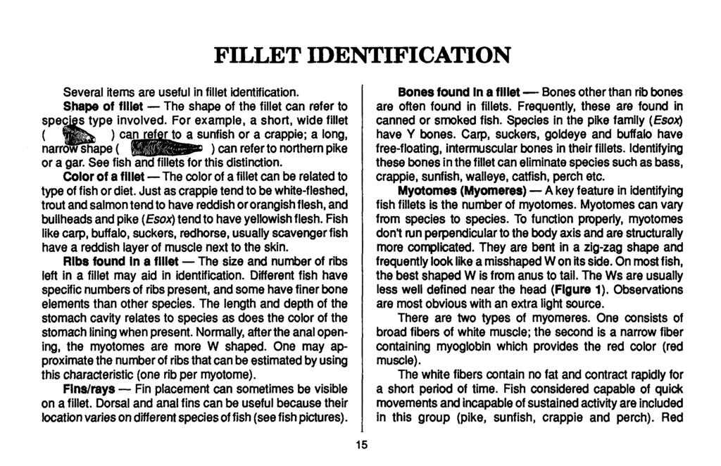 Several items are useful in fillet identification. Shape of flllet - The shape of the fillet can refer to pe involved.