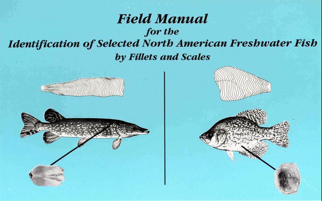 Field Manual for the Identzfiication of Selected