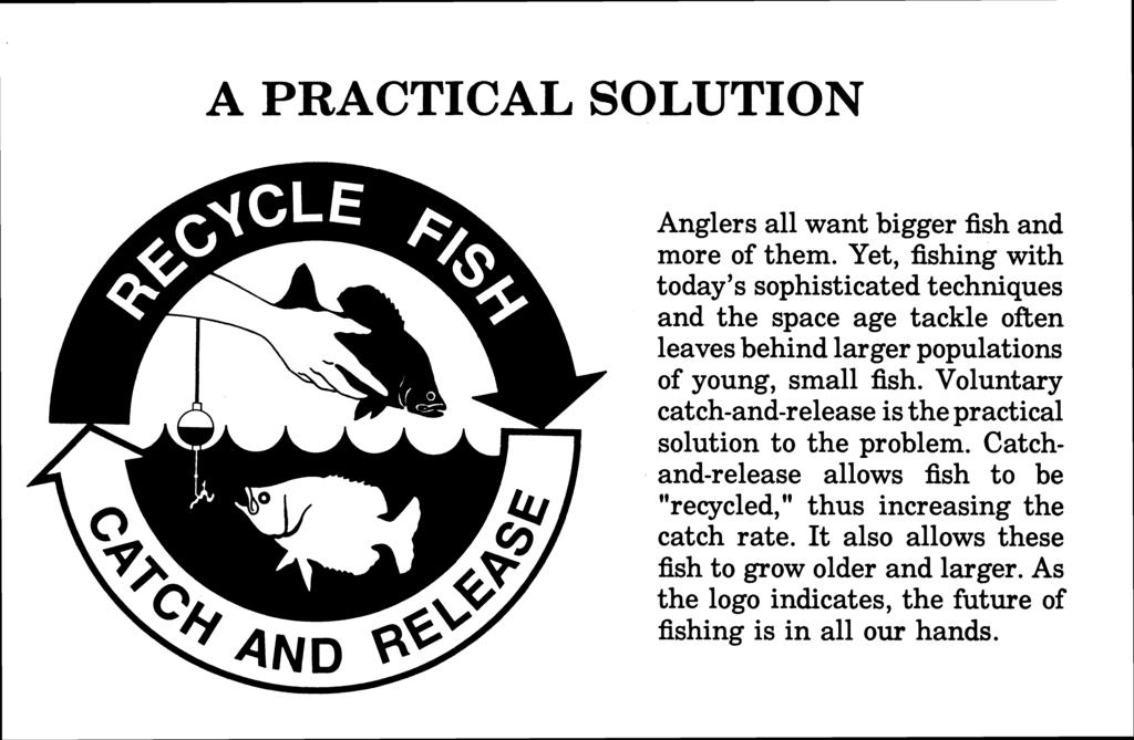 A PRACTICAL SOLUTION Anglers all want bigger fish and more of them.