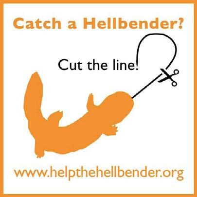 Below is a list of additional ways to help zoos and Hellbenders!