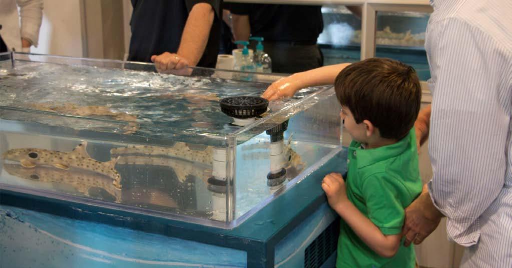 The WAVE Foundation and the Newport Aquarium have partnered to help bring education to the public.